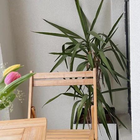 Alojamento de Acomodação e Pequeno-almoço 107 Dreams 3*