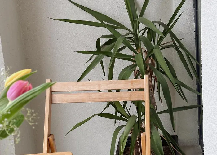 Panzió 107 Dreams 3*